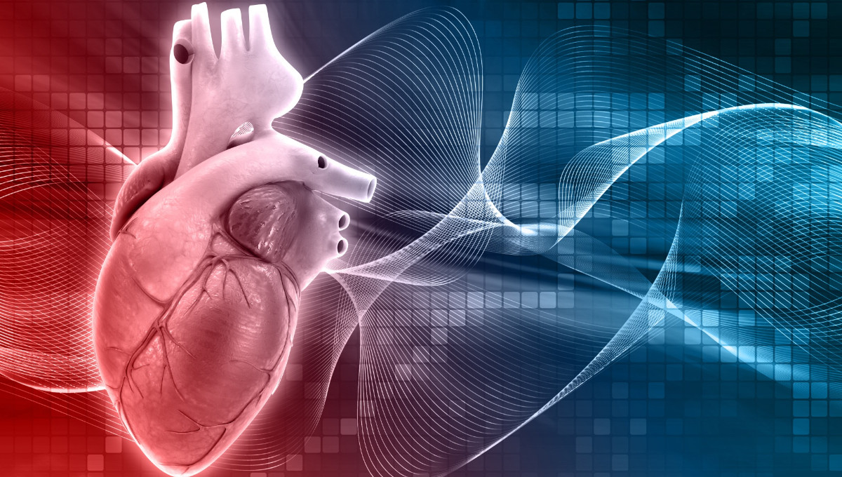 Kardiovaskulární problémy - srdce